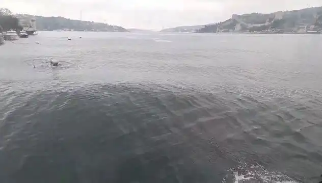 İstanbul Boğazı’nda Yükselen Dalgalar, Denizde Tehlike Mi Var?