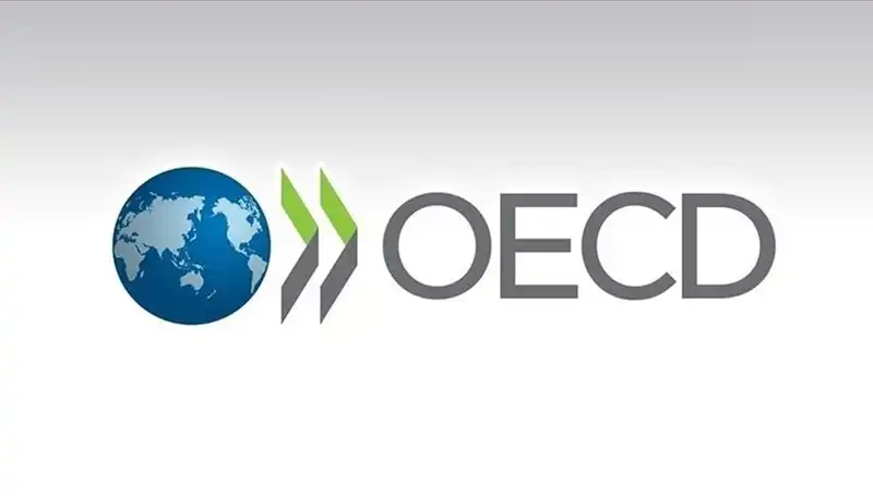 OECD Türkiye'nin Büyüme Tahminini Güncelledi: Beklentiler Neler?