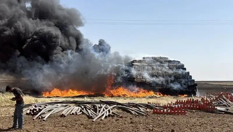 Mardin'de Anız Yangınları: Doğa ve Ekonomi Üzerindeki Etkileri