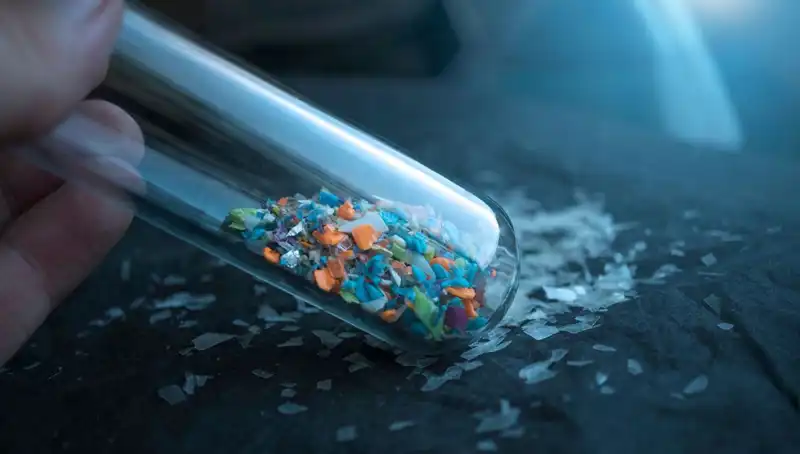 Mikroplastik Tehlikesi: İnsan Beynindeki Etkileri ve Sağlık Üzerindeki Sonuçları