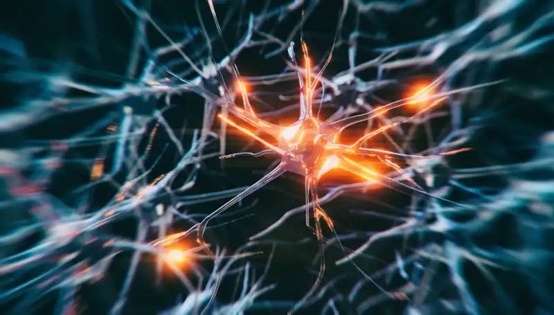 Alzheimer's Vakalarının Artışı: Neden ve Çözüm Yolları