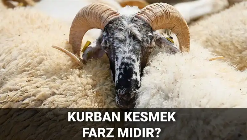 Kurban Kesmek Farz mı? Diyanet’in Gözüyle Şartlar ve Hükmü