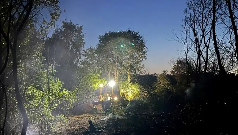 Edirne'de Büyük Korku: Orman Yangını Kontrol Altına Alındı