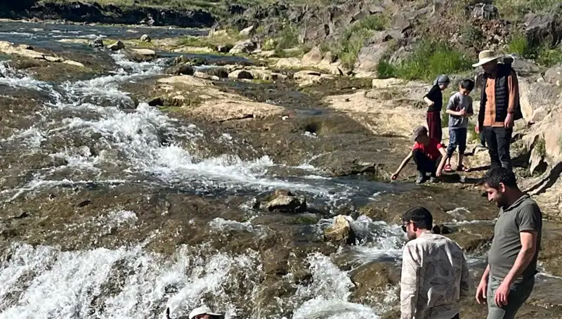İnci Kefalinin Mucizevi Göçü: Doğanın Büyüleyici Yolculuğu