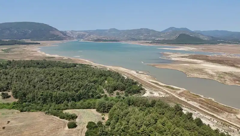 İzmir'de Tehlike Çanları: Kriz Kapıda, Yüzde 50 Düşüş Nedenleri