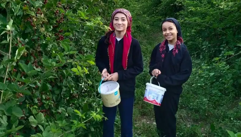 Antioksidan Kapasitesiyle Kanserle Mücadelede Çığır Açan Yeni Araştırmalar