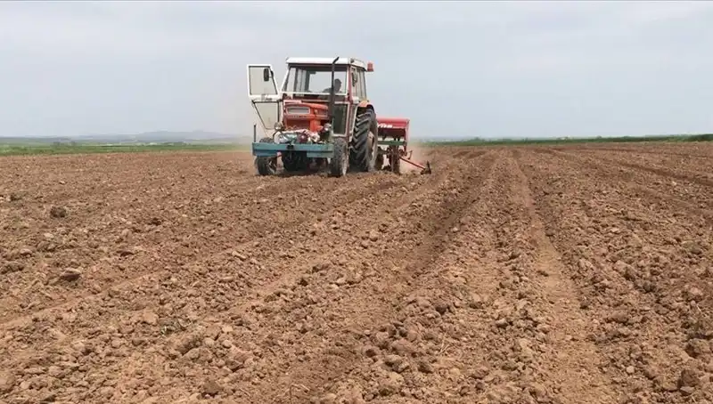 Son 35 Yılın En Kurak Mart Ayı! Yağışlar Yüzde 59 Azaldı