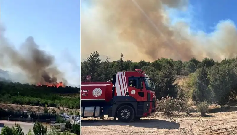 Gebze'de Orman Yangını: Ekipler Seferber Oldu, Sebep Ne?