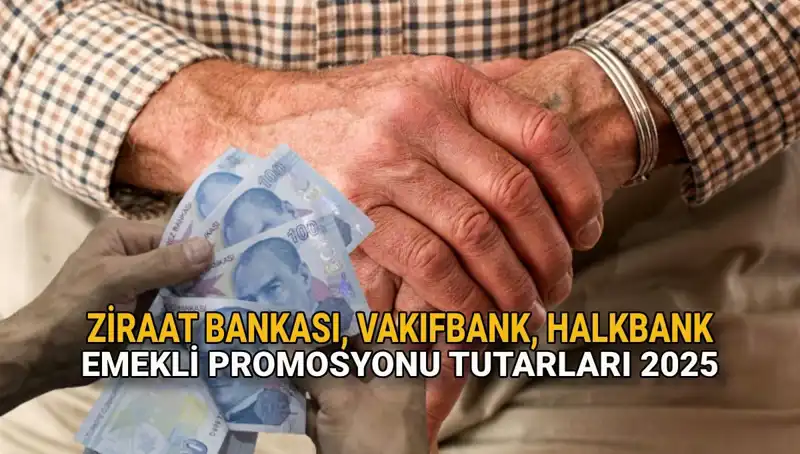 Kamu Bankaları Emekli Promosyonları 2025: Hangi Banka Ne Kadar Veriyor?