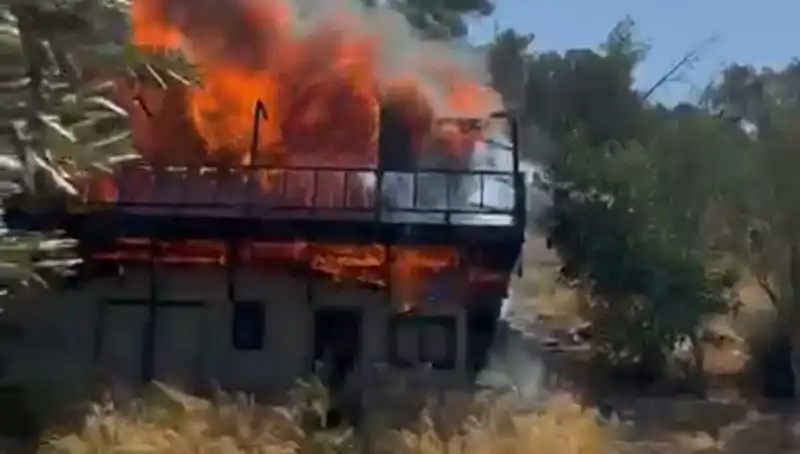 Bodrum’da Yangın Alarmı: Doğa ve Anıt Ağaçlar Tehlikede!