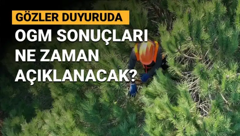 OGM Personel Alımı Sonuçları: 3.477 Başvurunun Beklendiği Tarih Açıklandı!