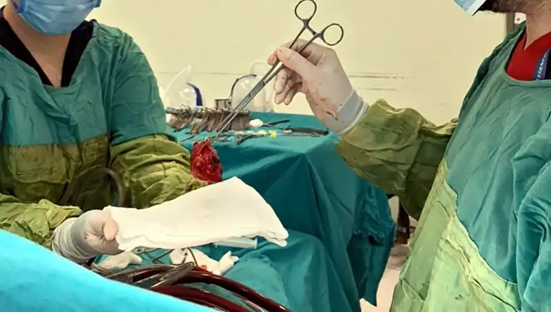 Kalp Kapağı Çürüyen Hastadan 7 Saatlik Mucize Ameliyat Başarıyla Gerçekleşti