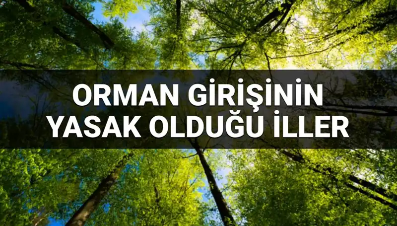 2025'te Ormana Girmek Yasaklanan İller: İşte Detaylar