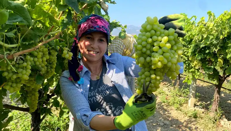 Manisa’nın Ünlü Lezzetleri Avrupa’ya Ulaşmaya Başladı